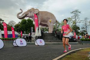 BIB: 
                            <button type="button" onclick="openModal(26528538)" class="btn btn-primary btn-sm float-right btn-popup" data-toggle="modal" data-target=".modal-high-quality">
                        <i class="fas fa-shopping-cart"></i> Add to Cart
                    </button>
                                            <button type="button" onclick="isThisMe(26528538, true)" class="btn btn-success btn-sm float-right btn-popup btn-isme hidden" data-toggle="tooltip" data-placement="bottom" title="นี่คือรูปของคุณใช่ไหม คลิกที่นี่เพื่อเอาเข้าอัลบั้ม">
                        <i class="fas fa-plus"></i> Add to album
                    </button>
                    <button type="button" onclick="isThisMe(26528538, false)" class="btn btn-warning btn-sm float-right btn-popup btn-isnotme hidden">
                        <i class="fas fa-ban"></i> Remove from album
                    </button>